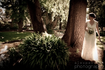alex pallett wedding photography 11